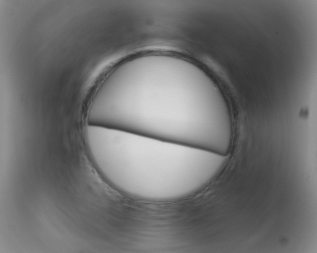 X0000114011408200910020942