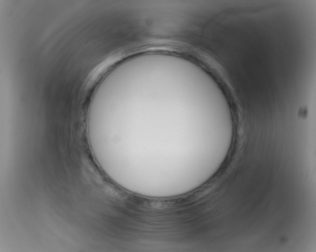 X0000114011411200910020942
