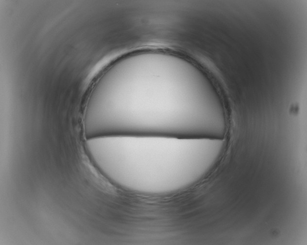 X0000114011412200910020942