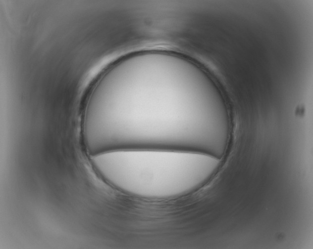 X0000114011414200910020942