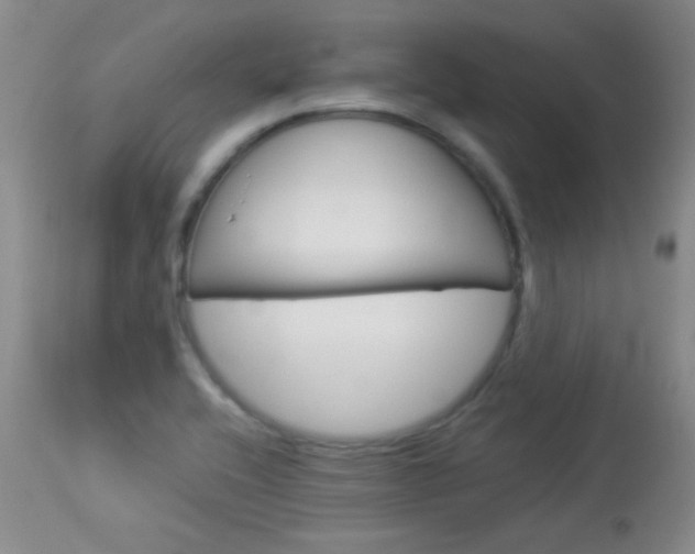 X0000114011416200910020942