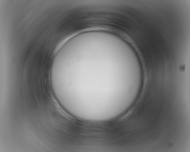 X0000114011417200910020942