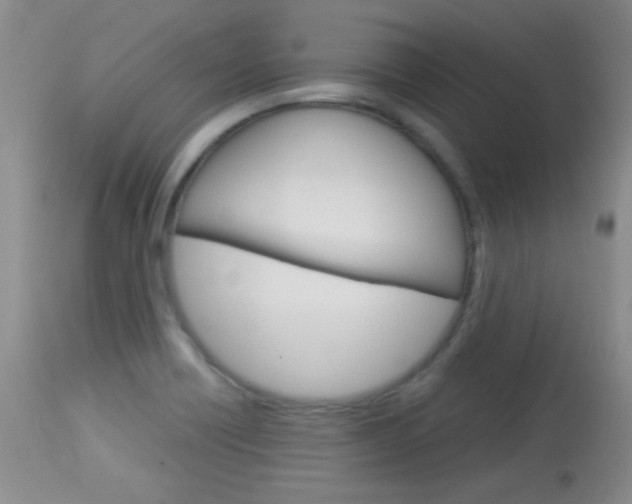 X0000114011418200910020942