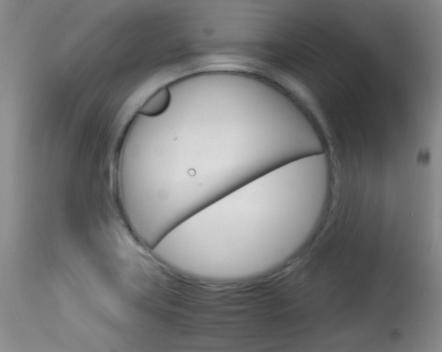 X0000114011419200910020942