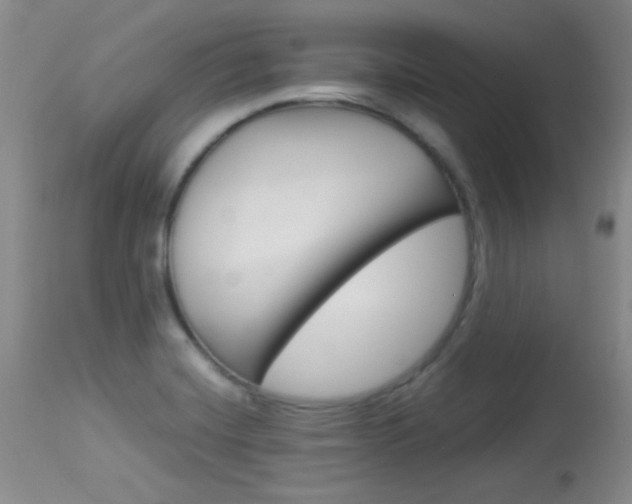 X0000114011420200910020942