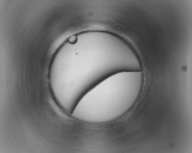 X0000114011422200910020942