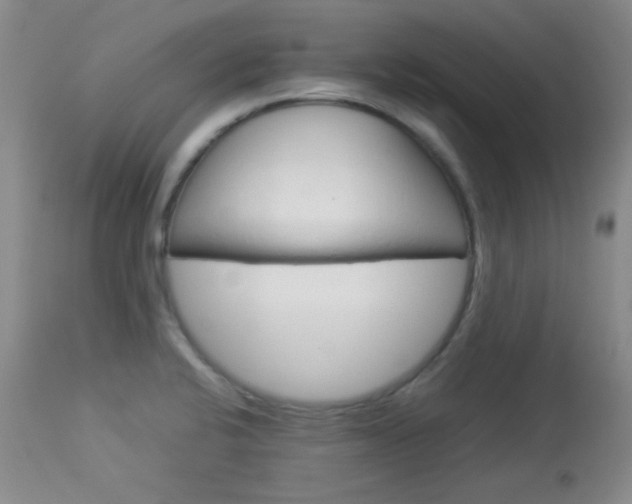 X0000114011424200910020942