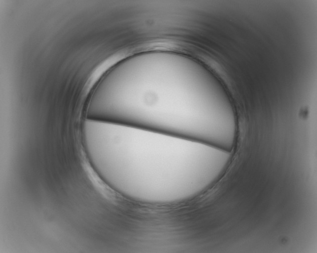 X0000114011426200910020942