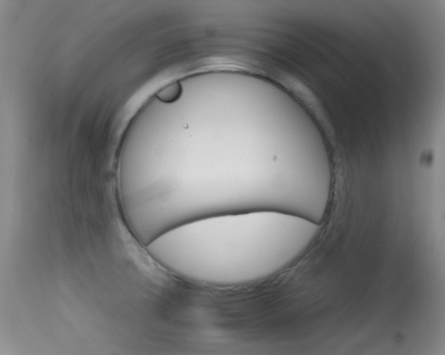 X0000114011427200910020942