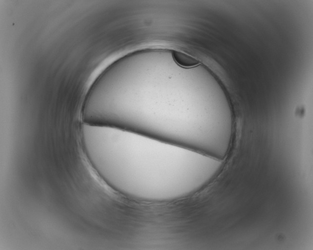 X0000114011428200910020942