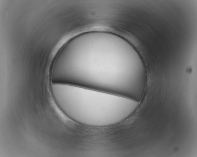 X0000114011430200910020942