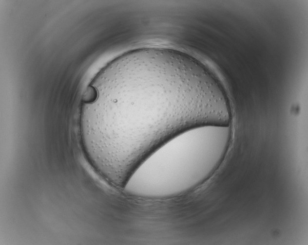 X0000114011432200910020942