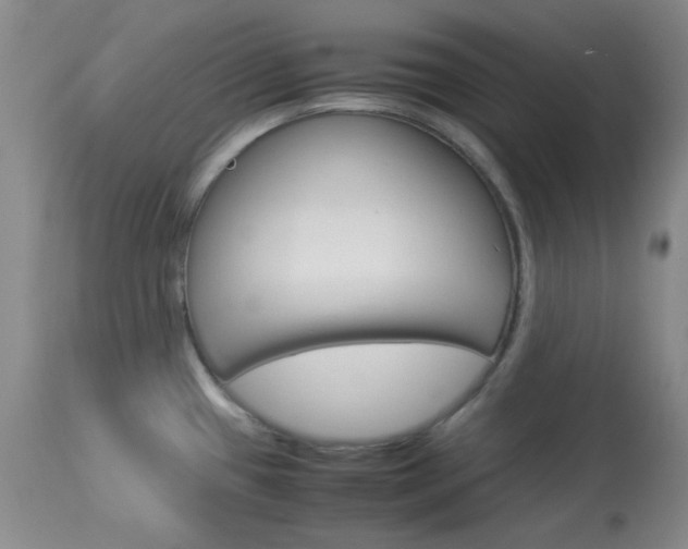 X0000114011433200910020942