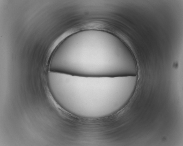 X0000114011434200910020942