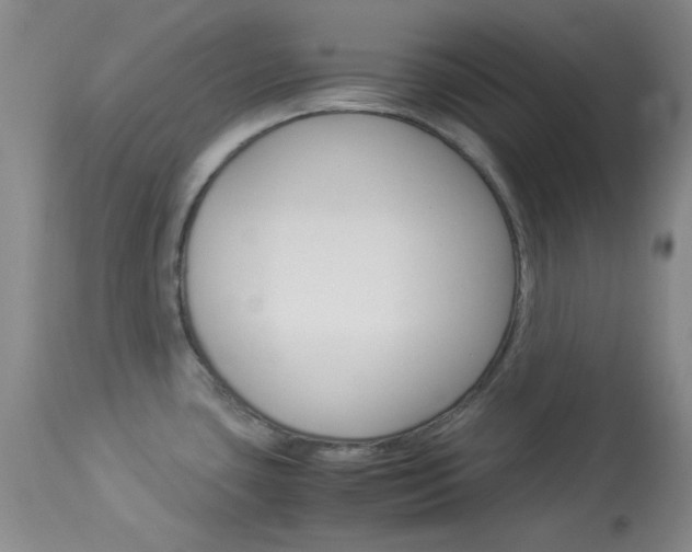 X0000114011435200910020942