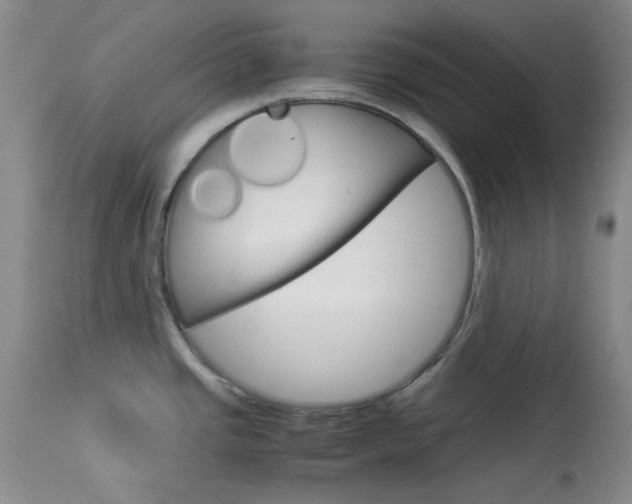 X0000114011437200910020942