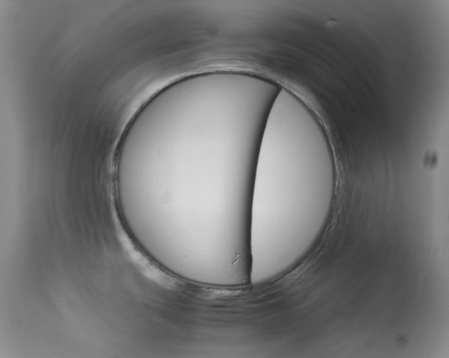 X0000114011439200910020942