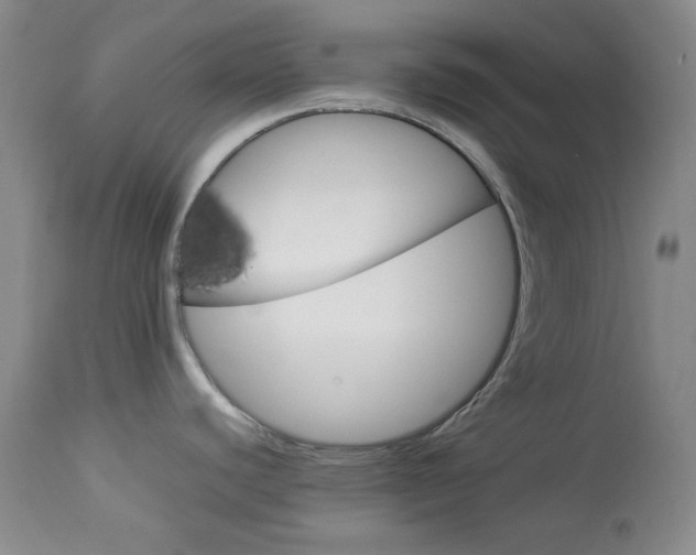 X0000114011440200910020942