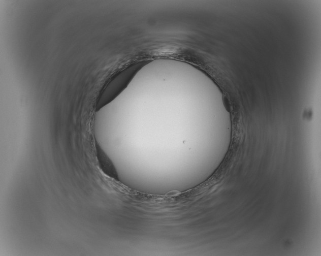 X0000114011441200910020941