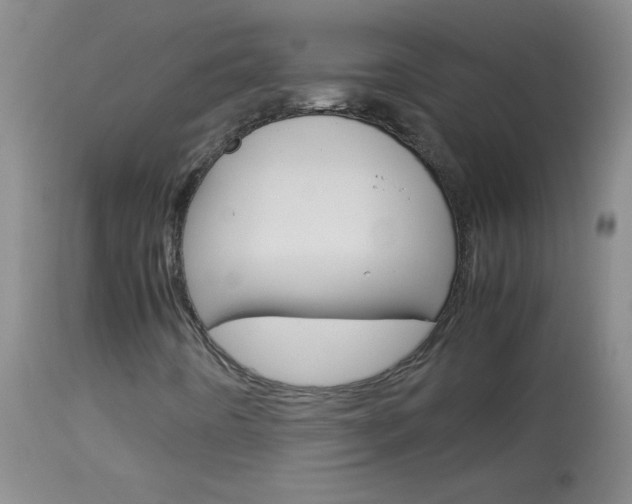X0000114011442200910020941