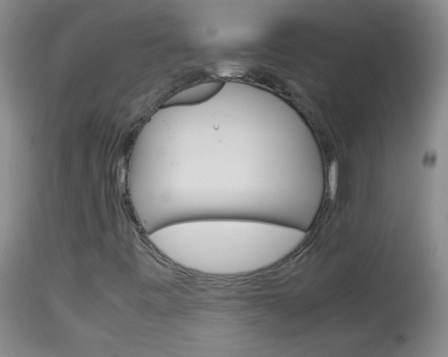 X0000114011443200910020941
