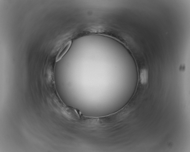 X0000114011444200910020941