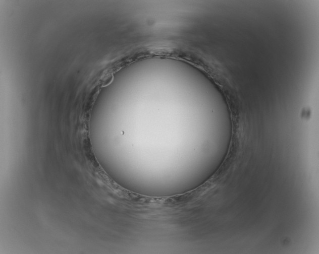 X0000114011445200910020941