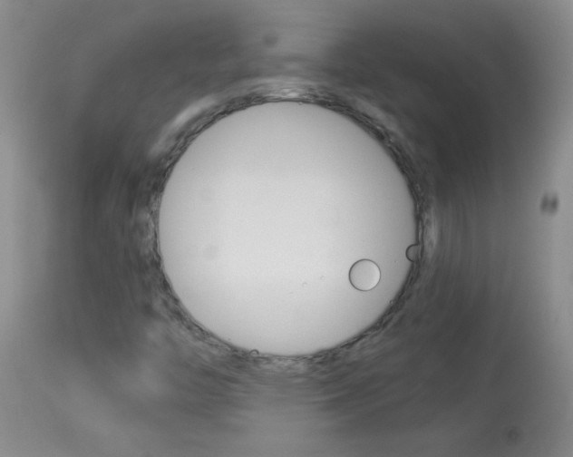 X0000114011446200910020941