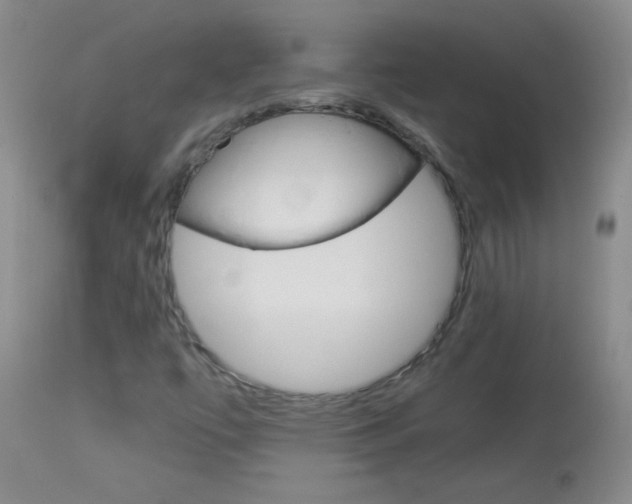 X0000114011447200910020941