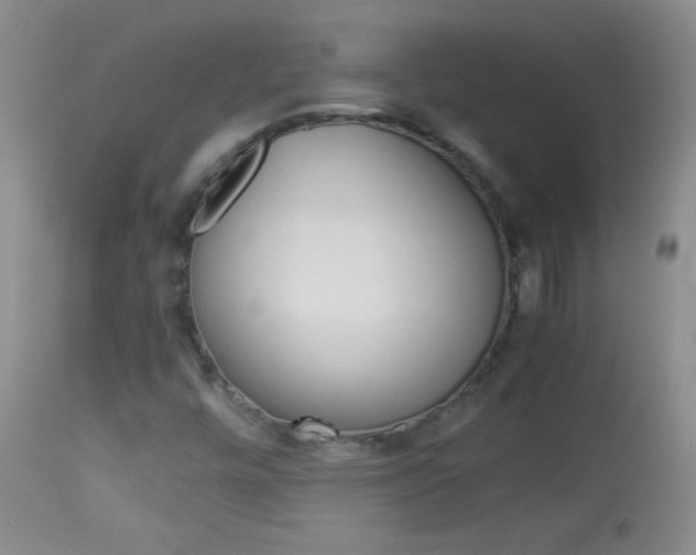 X0000114011448200910020941