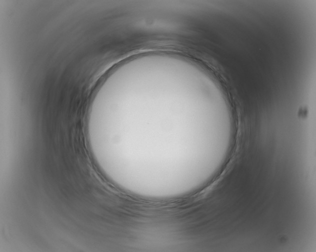 X0000114011449200910020941