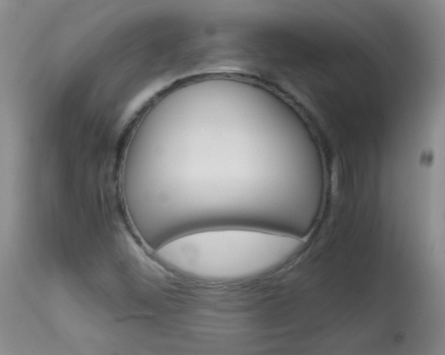 X0000114011452200910020941