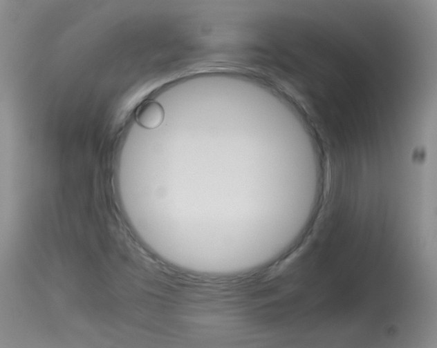 X0000114011453200910020941