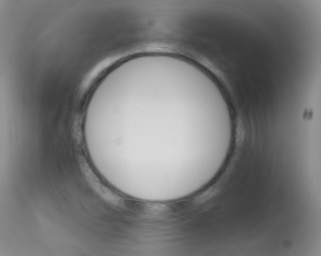 X0000114011454200910020941