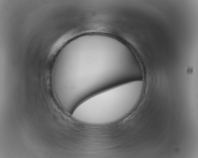 X0000114011455200910020941