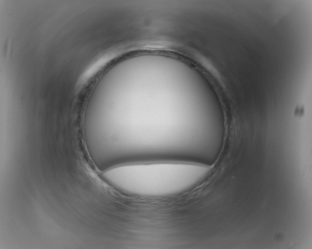 X0000114011456200910020941