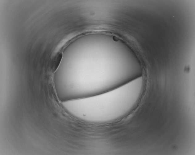 X0000114011457200910020941