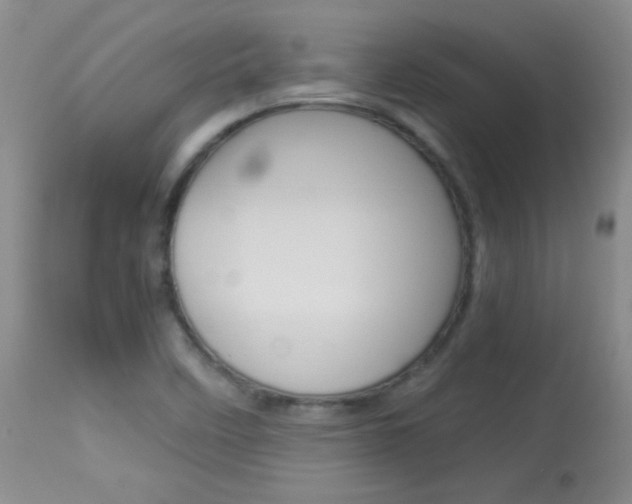 X0000114011458200910020941
