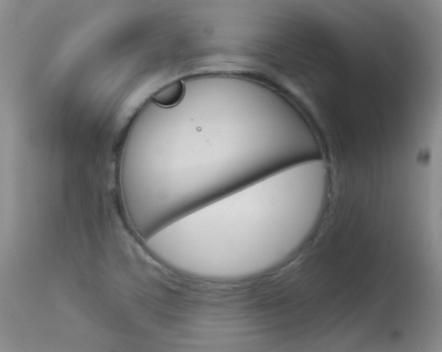 X0000114011459200910020941