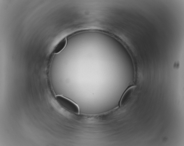 X0000114011460200910020941