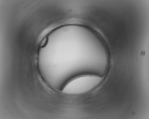 X0000114011461200910020941
