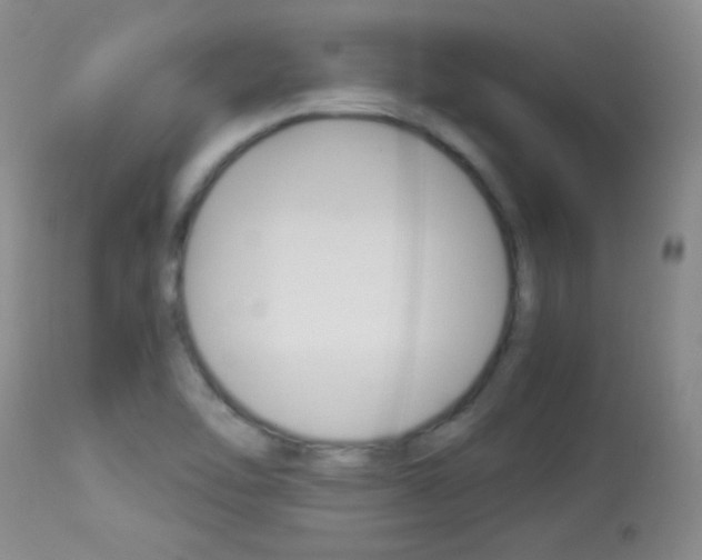 X0000114011462200910020941