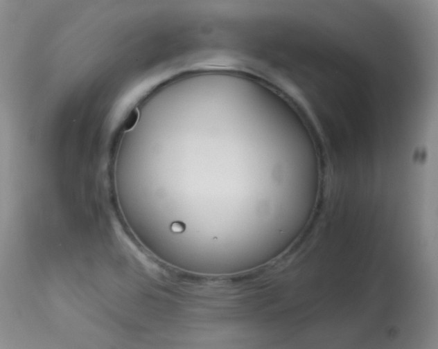 X0000114011464200910020941