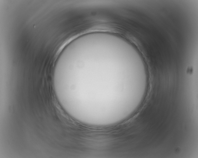 X0000114011465200910020941