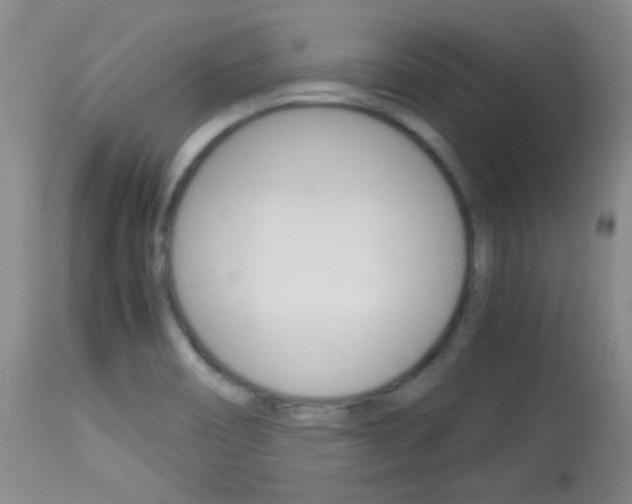 X0000114011466200910020941