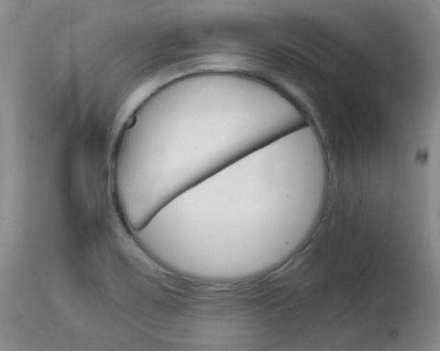 X0000114011467200910020941
