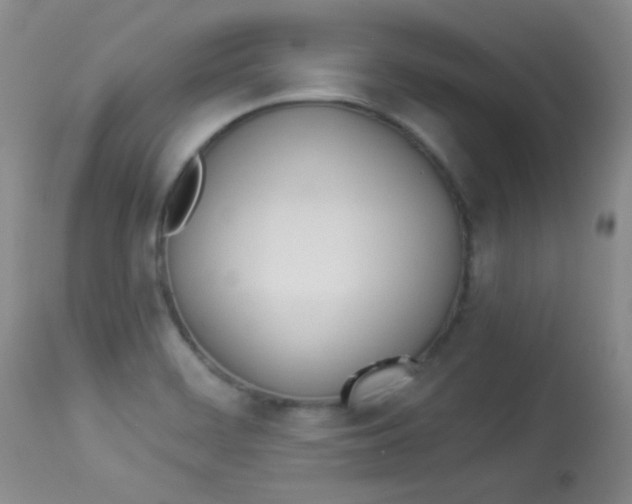 X0000114011468200910020941