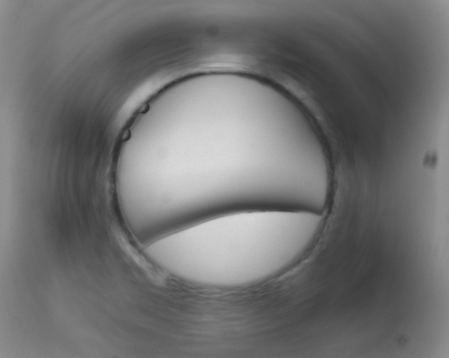 X0000114011469200910020941