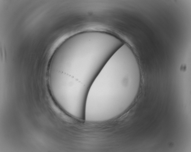 X0000114011471200910020941