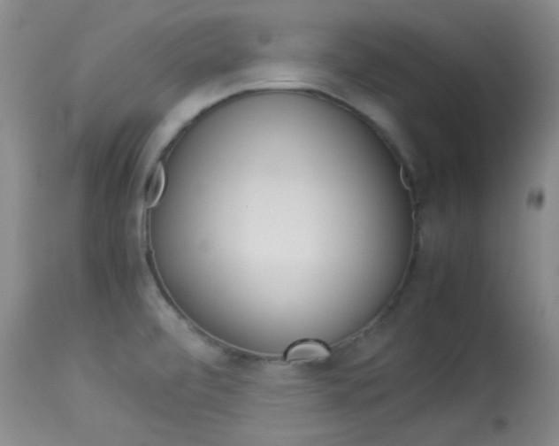 X0000114011472200910020941